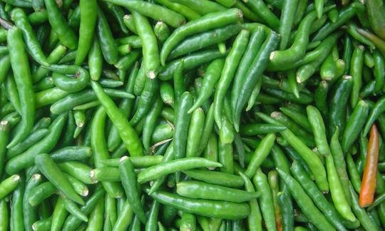 কাঁচা মরিচের পুষ্টিগুণ ও খাওয়ার বিশেষ উপকারিতা জেনে নিন