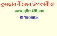 কুমড়ার বীজের উপকারিতা জেনে নিন